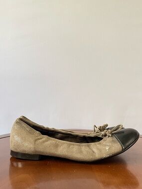 Attilio Giusti Leombruni Suede Cap Toe Ballet Flats | EU 38.5